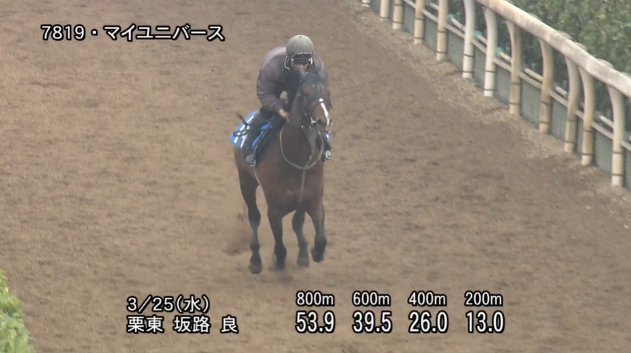 日経賞2026 追い切り