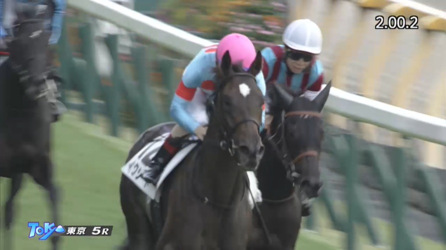 フラワーカップ2026出走予定馬 イクシード