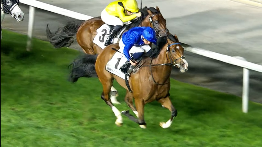 ドバイターフ2026 オンブズマン