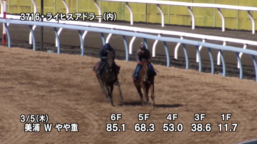 弥生賞2026 追い切り