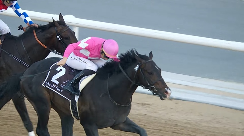 UAEダービー2026 ワンダーディーン