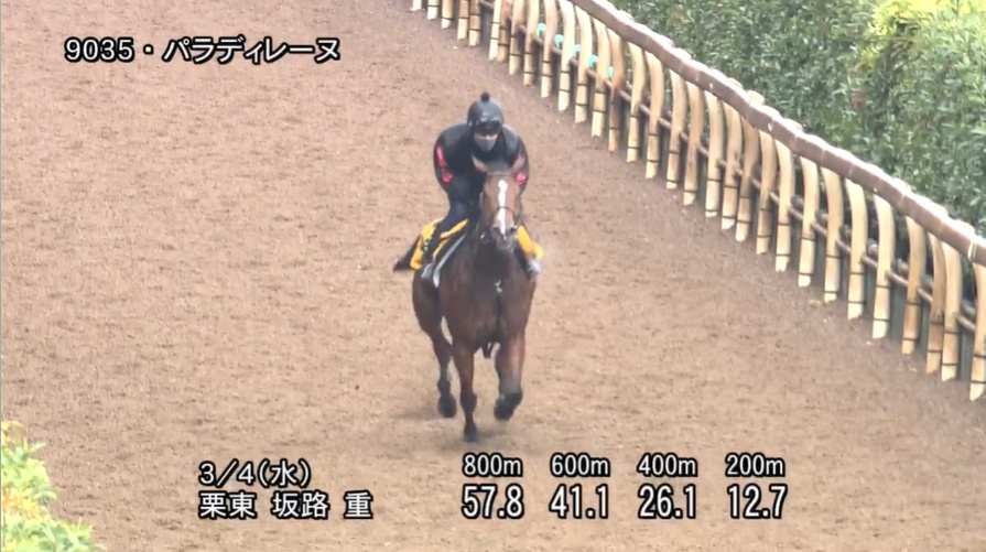 中山牝馬ステークス2026 追い切り