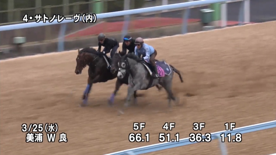 高松宮記念2026 追い切り