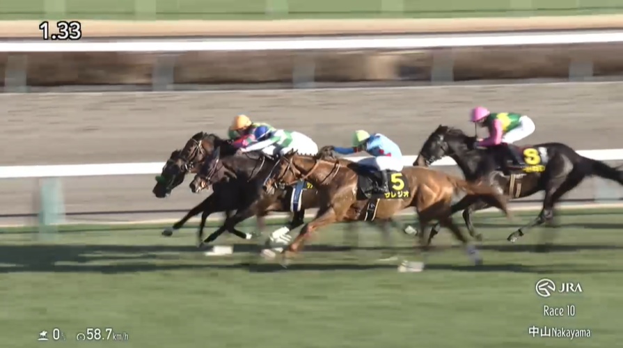 チャーチルダウンズカップ2026出走予定馬 リゾートアイランド