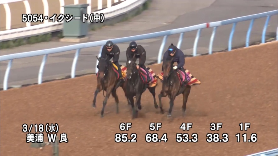 フラワーカップ2026 追い切り