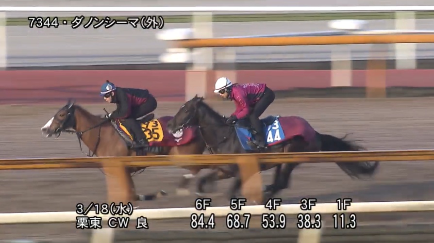 阪神大賞典2026 追い切り