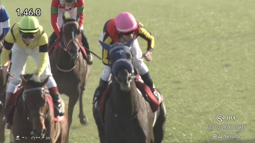 スプリングステークス2026 アウダーシア