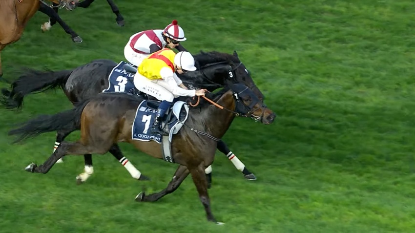 アルクオーツスプリント2026 ネイティブアプローチ