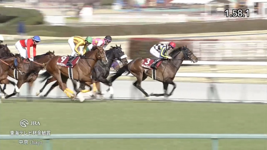 金鯱賞2026 シェイクユアハート