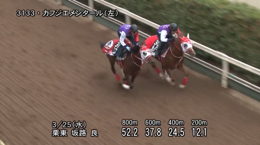 毎日杯2026 追い切り