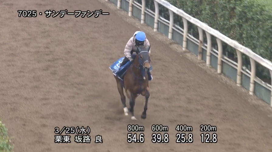 マーチステークス2026 追い切り