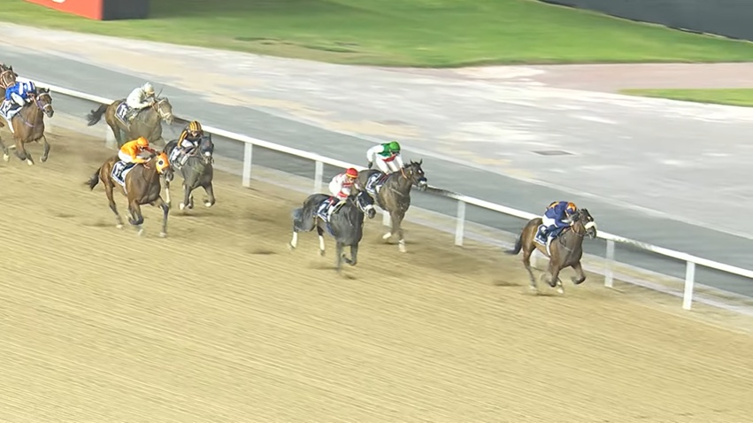 ドバイゴールデンシャヒーン2026 ダークサフロン