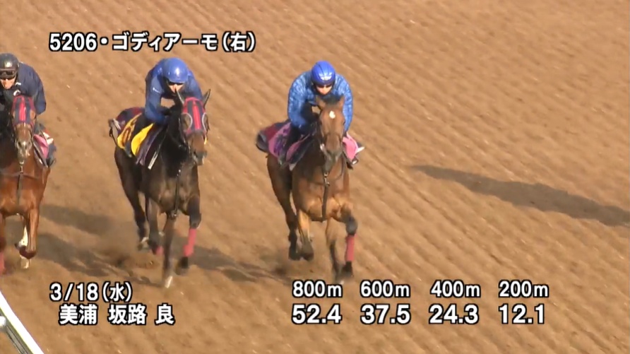 フラワーカップ2026 追い切り