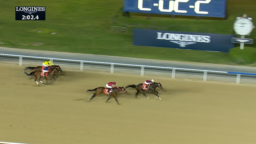 ドバイワールドカップ2026 マグニチュード