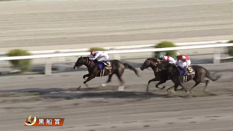 黒船賞2026 マテンロウコマンド