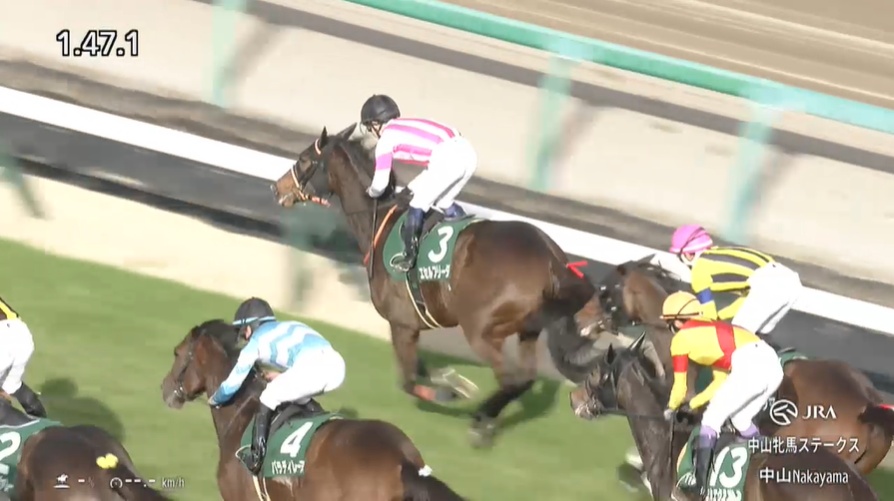 中山牝馬ステークス2026 エセルフリーダ