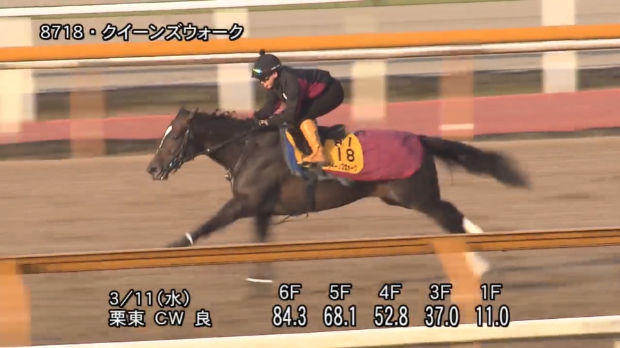 金鯱賞2026 追い切り