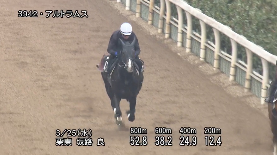 毎日杯2026 追い切り