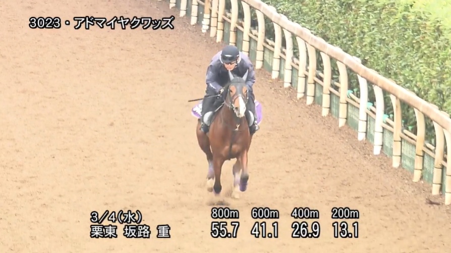 弥生賞2026 追い切り