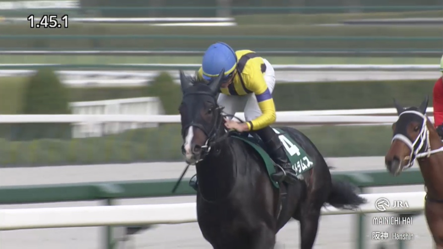 毎日杯2026 アルトラムス