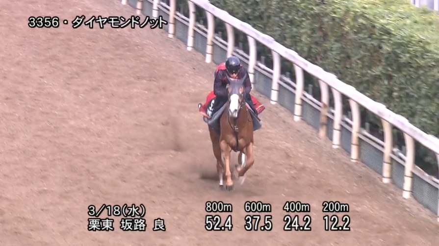 ファルコンステークス2026 追い切り