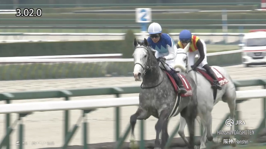 阪神大賞典2026 アドマイヤテラ