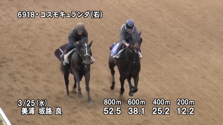 日経賞2026 追い切り