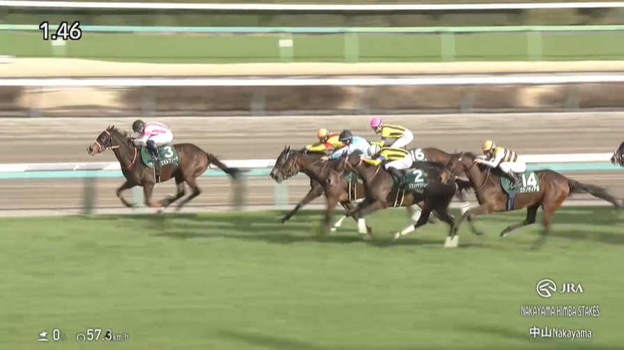 中山牝馬ステークス2026 エセルフリーダ