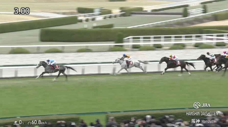 阪神大賞典2026 アドマイヤテラ