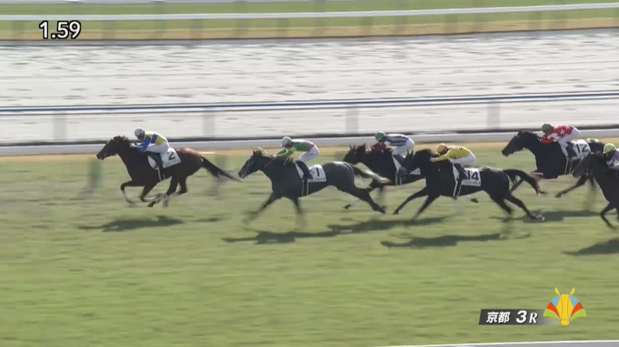 フラワーカップ2026出走予定馬 エアビーアゲイル