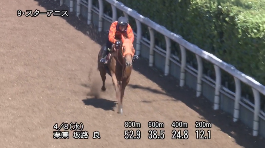 桜花賞2026 追い切り