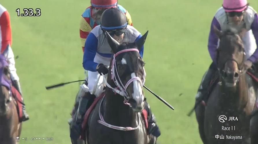 ニュージーランドトロフィー2026 レザベーション