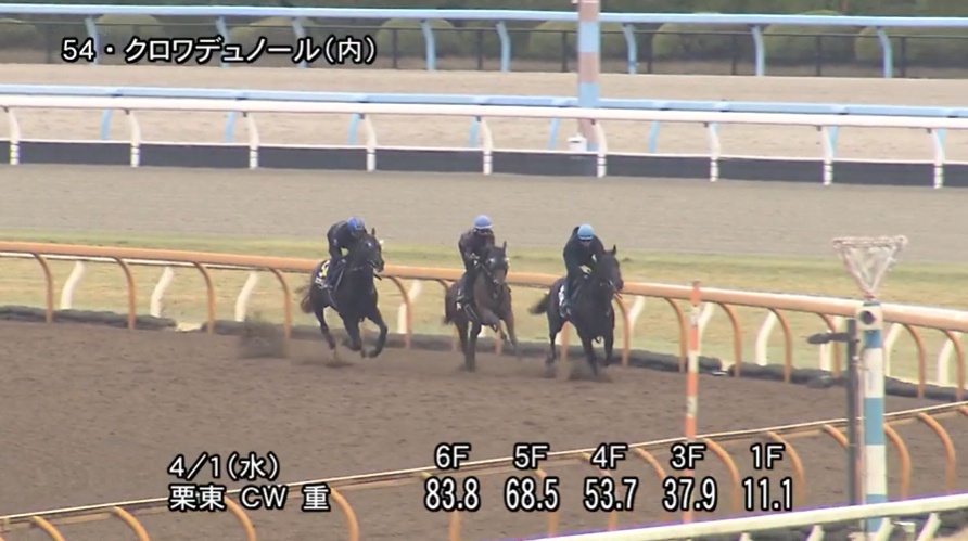 大阪杯2026 追い切り