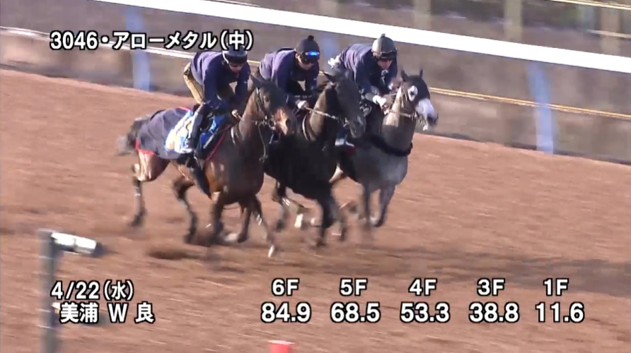 青葉賞2026 追い切り