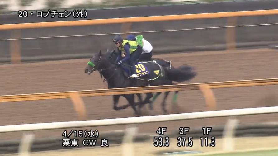 皐月賞2026 追い切り