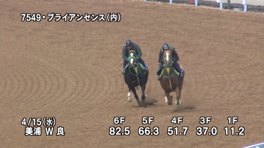 アンタレスステークス2026 追い切り