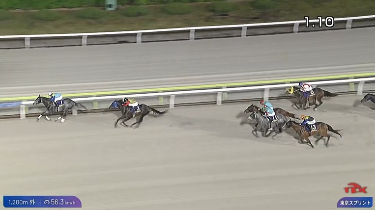 東京スプリント2026 ドラゴンウェルズ