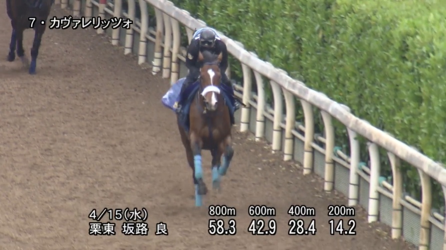 皐月賞2026 追い切り