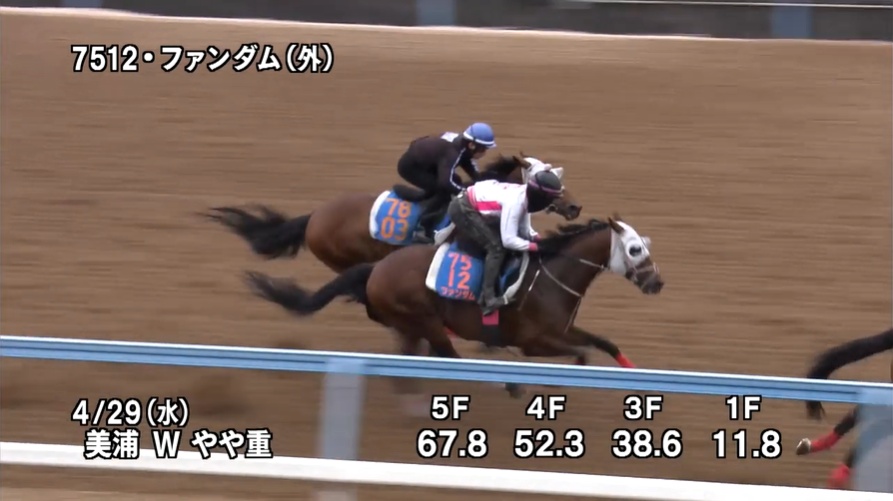 京王杯スプリングカップ2026 追い切り