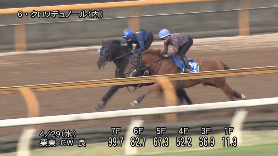 天皇賞春2026 追い切り