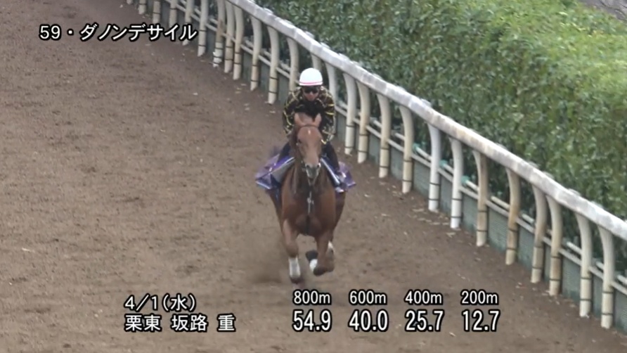 大阪杯2026 追い切り