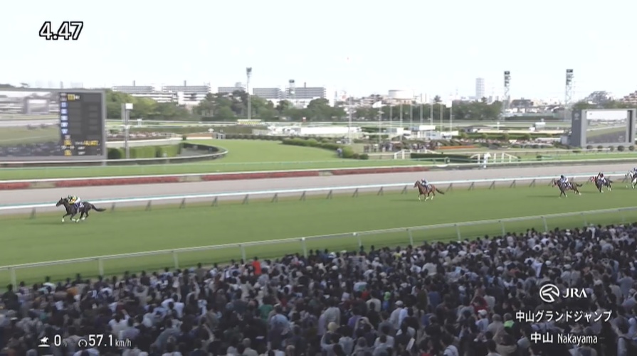 中山グランドジャンプ2026 エコロデュエル