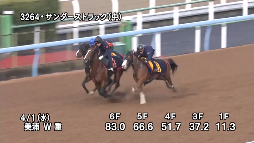 チャーチルダウンズカップ2026 追い切り