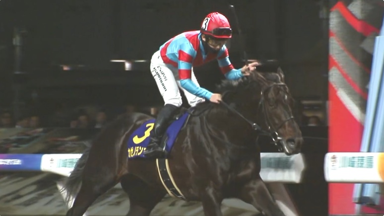 川崎記念2026 カゼノランナー