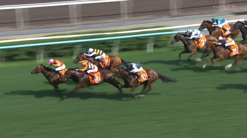 チャンピオンズマイル2026 マイウィッシュ