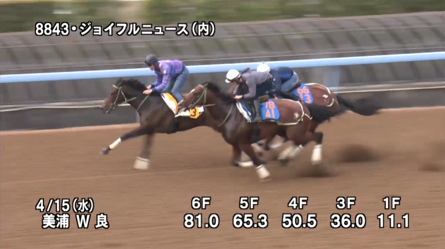 福島牝馬ステークス2026 追い切り