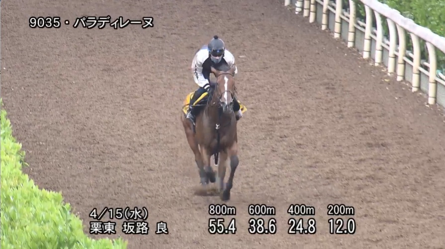 福島牝馬ステークス2026 追い切り