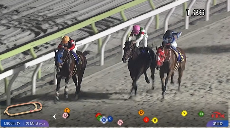 羽田盃2026 フィンガー