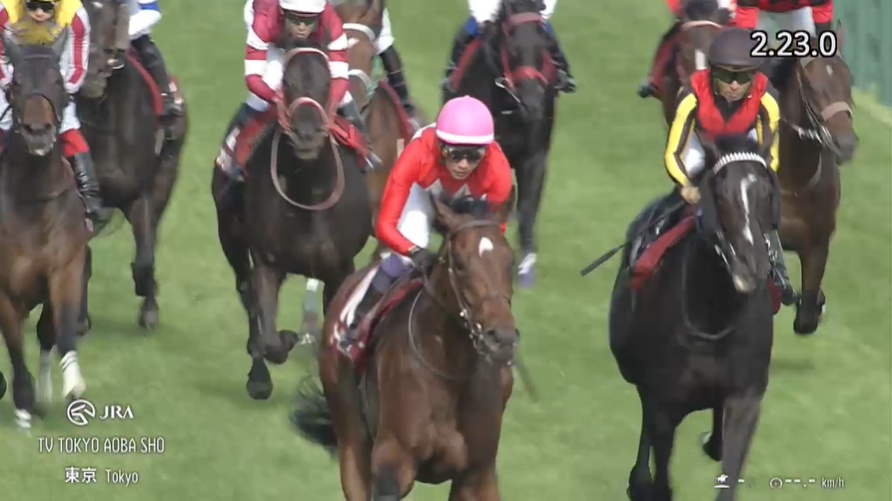 青葉賞2026 ゴーイントゥスカイ