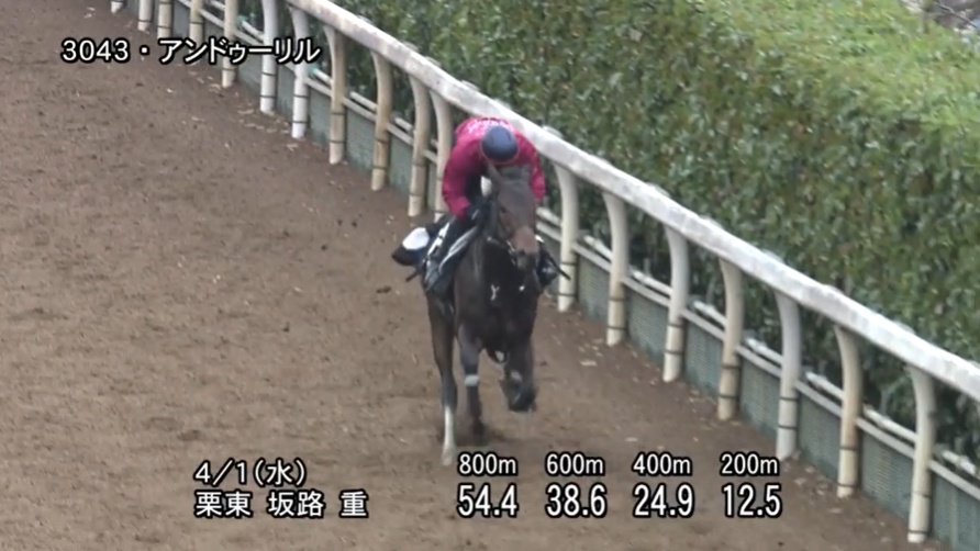 チャーチルダウンズカップ2026 追い切り